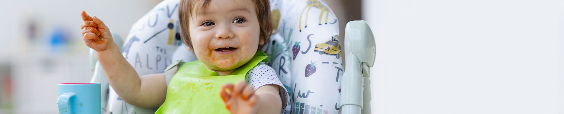 /SiteCollectionImage-Homepage-Banners/baby-led-weaning-banner.jpg