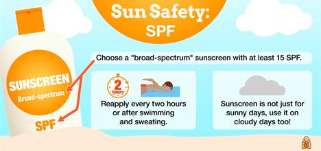 Sunburn and Sunscreens: your burning questions answered - Two Peds