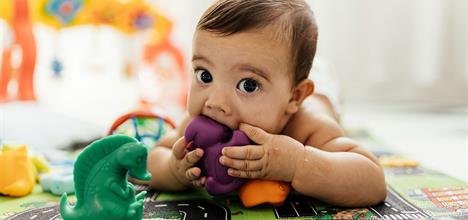 Haga clic aquí para insertar una imagen de SharePoint.