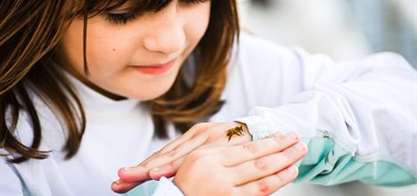 Click here to insert a picture from SharePoint.