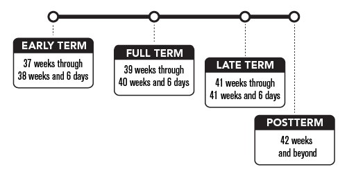 Full Term Pregnancy s New Meaning Explained HealthyChildren