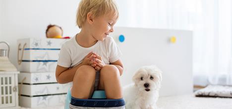 Most Common Potty Training Problems & Solutions for Kids
