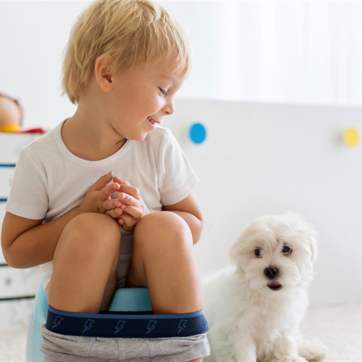 Potty training tips for when your child wets their pants