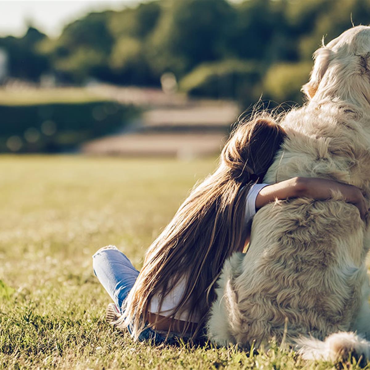 When a Pet Dies: How to Help Your Child Cope - HealthyChildren.org