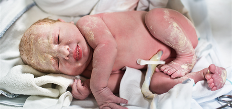 Click here to insert a picture from SharePoint.